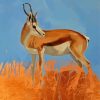 Springbok Animal Paint By Numbers