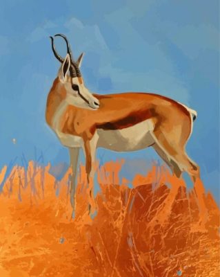 Springbok Animal Paint By Numbers