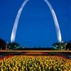St. Louis Arch Garden Paint By Numbers