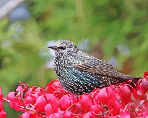 Starling And Red Leaves Paint By Numbers