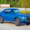 1970 Chevrolet Camaro Z28 Blue Paint By Numbers