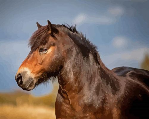 Aesthetic Exmoor Pony Paint By Numbers