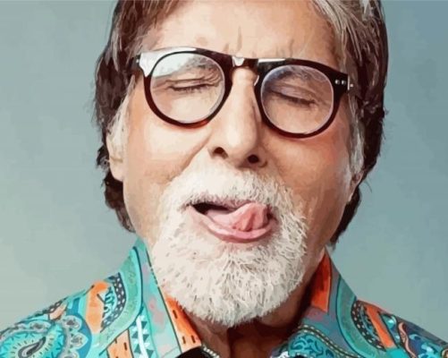 Amitabh Bachchan Paint By Numbers