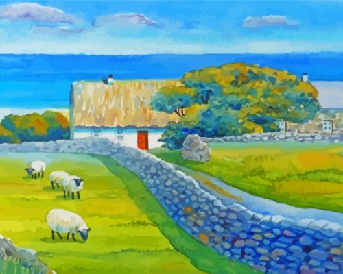 Aran Islands Paint By Numbers