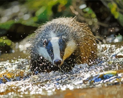 Badger By Water Paint By Numbers