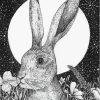 Black And White Hare Moon Paint By Numbers