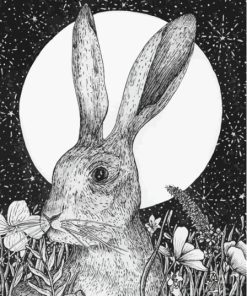 Black And White Hare Moon Paint By Numbers