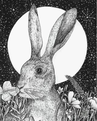 Black And White Hare Moon Paint By Numbers