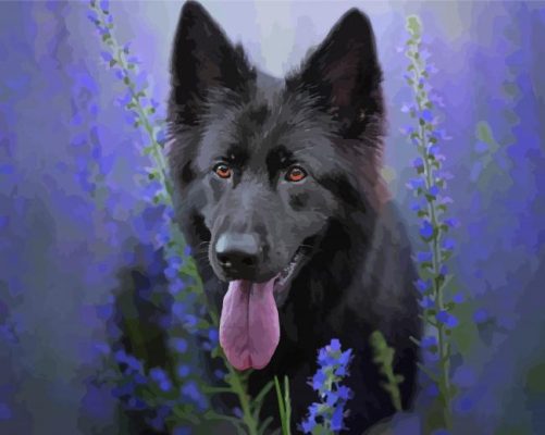 Black German Shepherd In Lavender Field Paint By Numbers