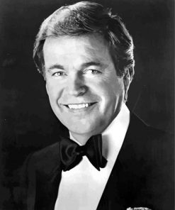 Black And White Actor Robert Wagner Paint By Numbers