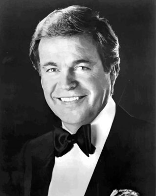 Black And White Actor Robert Wagner Paint By Numbers