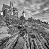 Black And White Pemaquid Paint By Numbers