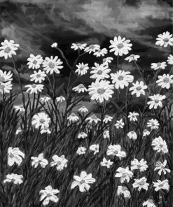 Black And White Daisy Field Paint By Numbers