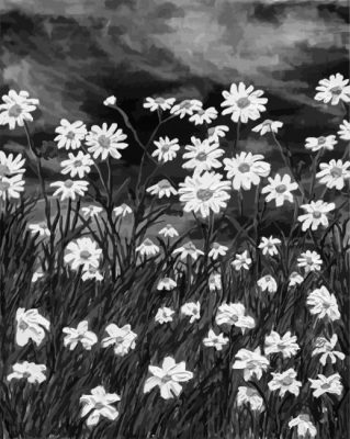 Black And White Daisy Field Paint By Numbers