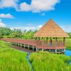 Boardwalk Hut in Marsh Paint By Numbers