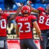 Calgary Stampeders Paint By Numbers