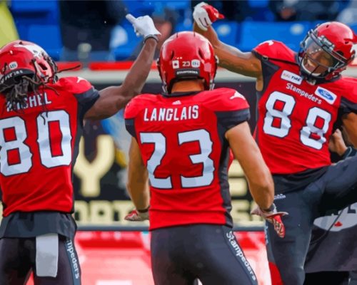 Calgary Stampeders Paint By Numbers