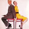 Cary Grant And Audrey Hepburn Paint By Numbers