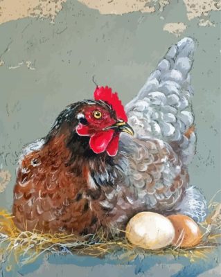 Chicken Sitting On Eggs Paint By Numbers