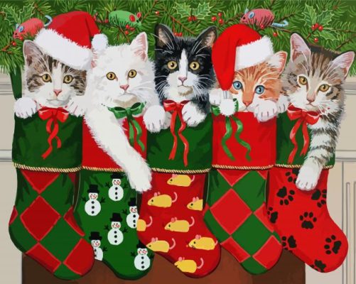 Christmas Cats In Stockings Paint By Numbers