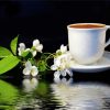 Coffee Cup And White Flower Paint By Numbers