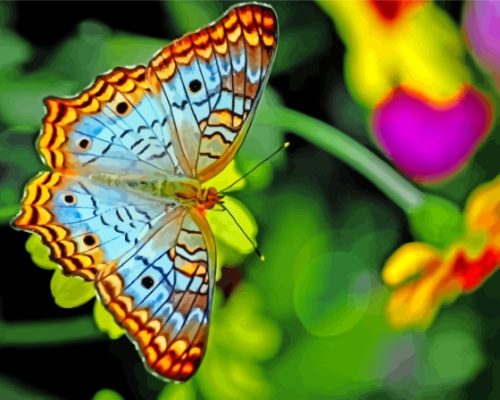 Colorful Butterfly On Flower Paint By Numbers