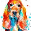 Cocker Spaniel Dog Paint By Numbers