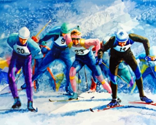 Cross Country Skiing Paint By Numbers