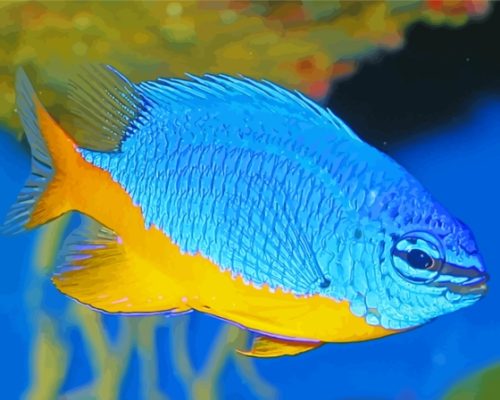 Damselfish Underwater Paint By Numbers