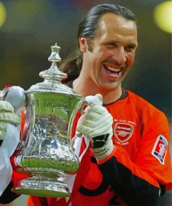 David Seaman Footballer Paint By Numbers