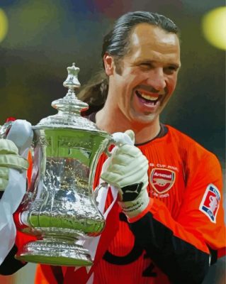 David Seaman Footballer Paint By Numbers