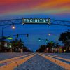Encinitas City Paint By Numbers
