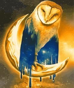 Fantasy Owl Moon Paint By Numbers