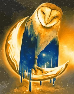 Fantasy Owl Moon Paint By Numbers