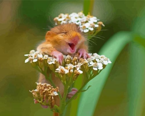 Field Mouse In Flowers Paint By Numbers