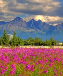 Flower Field With Pioneer Peak View Paint By Numbers