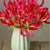 Gloriosa Lily Vase Paint By Numbers