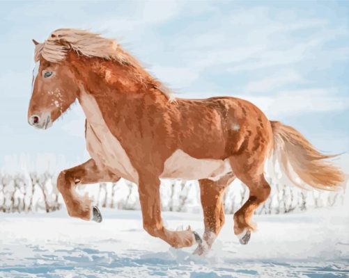 Icelandic Horse Running Paint By Numbers