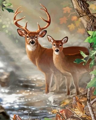 Large Buck And Doe Paint By Numbers