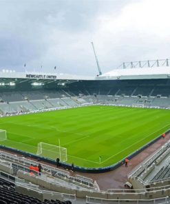 Newcastle United Football Stadium Paint By Numbers