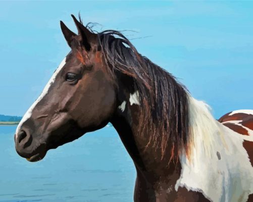 Pinto Horse Paint By Numbers