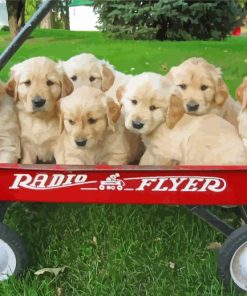 Puppies In Wagon Paint By Numbers