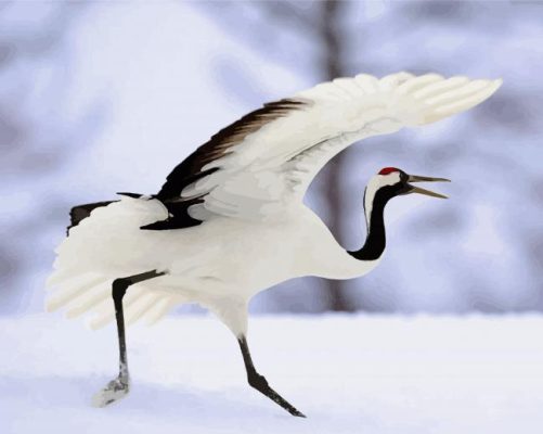 Red Crowned Crane Bird Paint By Numbers