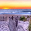 Rehoboth Beach Landscape Paint By Numbers