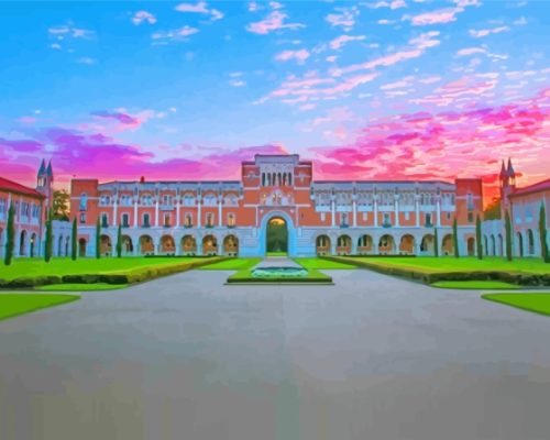 Rice University Paint By Numbers