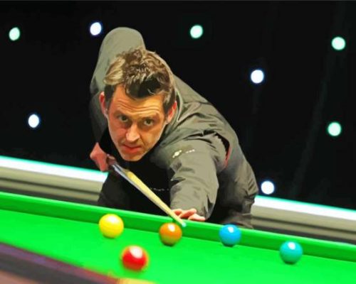 Ronnie O'Sullivan Snooker Player Paint By Numbers