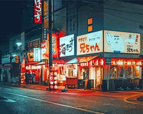 Shizuoka Streets At Night Paint By Numbers