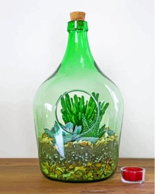 Succulents In A Bottle Paint By Numbers