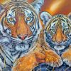 Tiger And Cub Animals Paint By Numbers