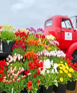 Tulip Truck Paint By Numbers